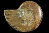 Red Flash Ammonite Fossil - Madagascar #151775-1
